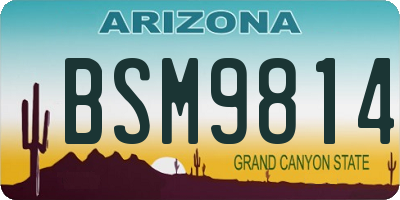 AZ license plate BSM9814