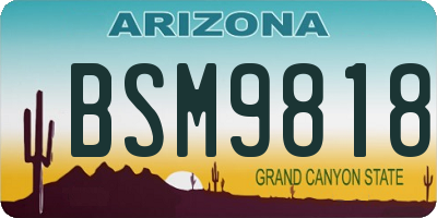 AZ license plate BSM9818