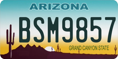 AZ license plate BSM9857