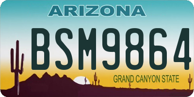 AZ license plate BSM9864