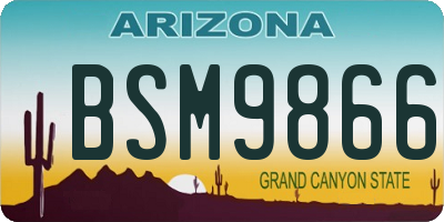 AZ license plate BSM9866