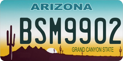 AZ license plate BSM9902