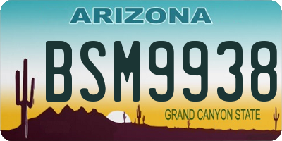 AZ license plate BSM9938