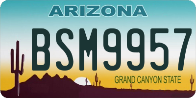 AZ license plate BSM9957