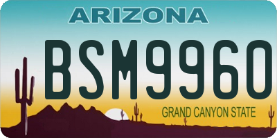 AZ license plate BSM9960