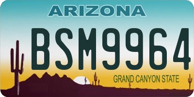 AZ license plate BSM9964