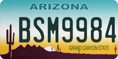 AZ license plate BSM9984