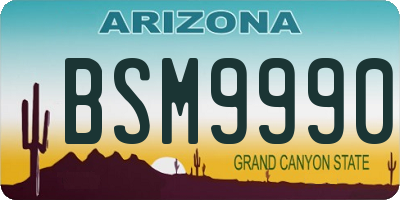 AZ license plate BSM9990