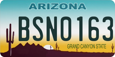 AZ license plate BSN0163