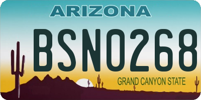 AZ license plate BSN0268