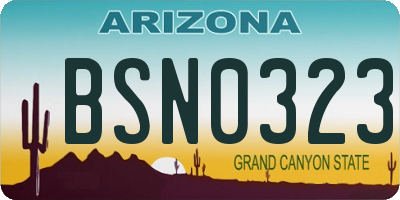 AZ license plate BSN0323