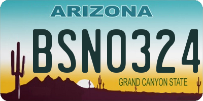 AZ license plate BSN0324
