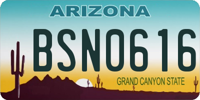 AZ license plate BSN0616