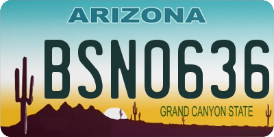 AZ license plate BSN0636