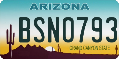 AZ license plate BSN0793
