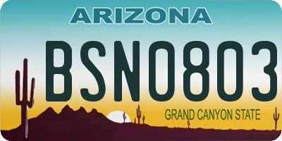 AZ license plate BSN0803
