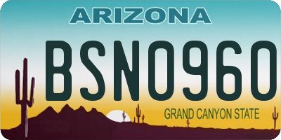 AZ license plate BSN0960