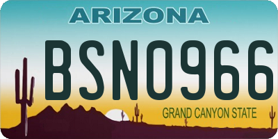 AZ license plate BSN0966