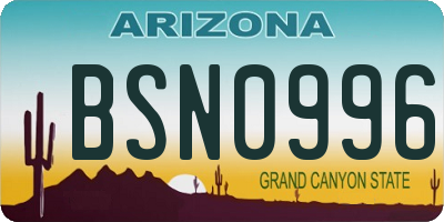 AZ license plate BSN0996