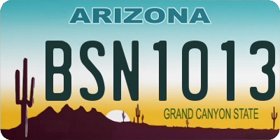AZ license plate BSN1013