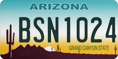 AZ license plate BSN1024