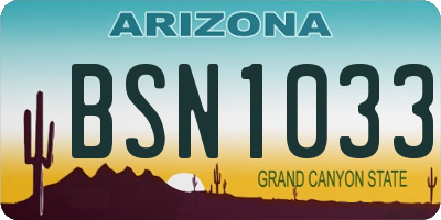 AZ license plate BSN1033