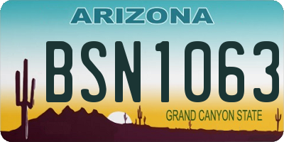 AZ license plate BSN1063