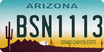 AZ license plate BSN1113