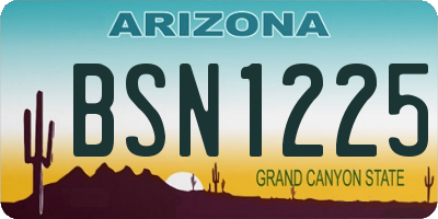AZ license plate BSN1225