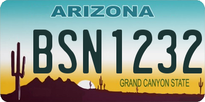 AZ license plate BSN1232