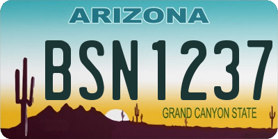 AZ license plate BSN1237