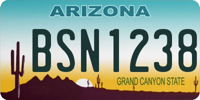 AZ license plate BSN1238