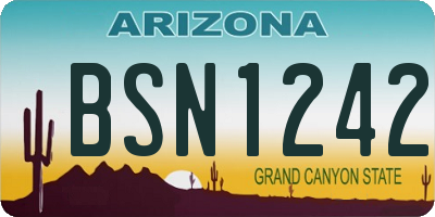 AZ license plate BSN1242