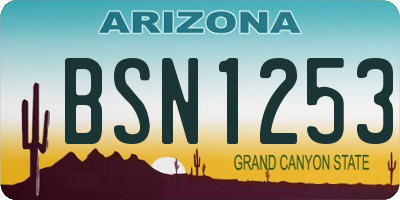 AZ license plate BSN1253