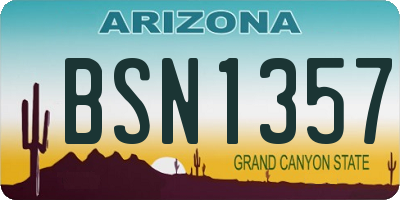 AZ license plate BSN1357