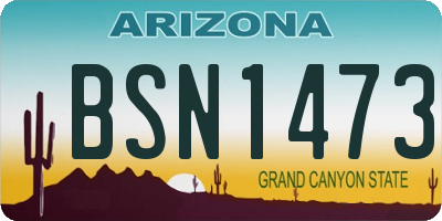 AZ license plate BSN1473
