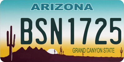 AZ license plate BSN1725