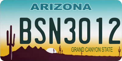 AZ license plate BSN3012