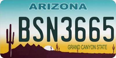 AZ license plate BSN3665