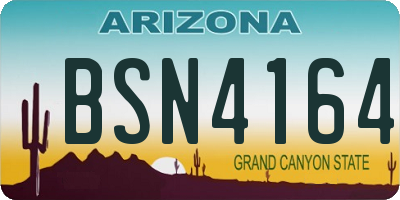 AZ license plate BSN4164
