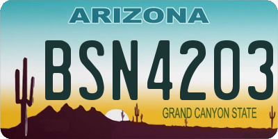 AZ license plate BSN4203