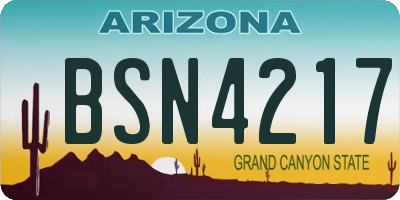AZ license plate BSN4217