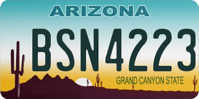 AZ license plate BSN4223
