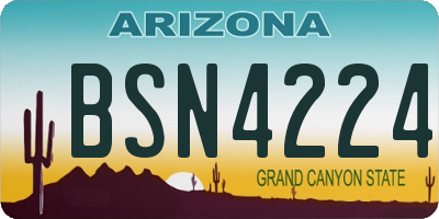 AZ license plate BSN4224