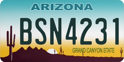 AZ license plate BSN4231