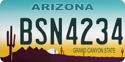 AZ license plate BSN4234