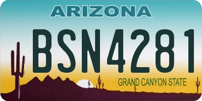 AZ license plate BSN4281