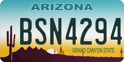 AZ license plate BSN4294