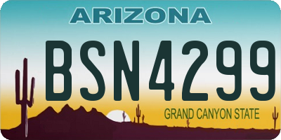 AZ license plate BSN4299