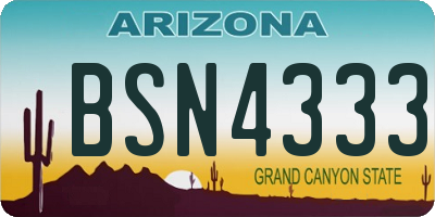 AZ license plate BSN4333
